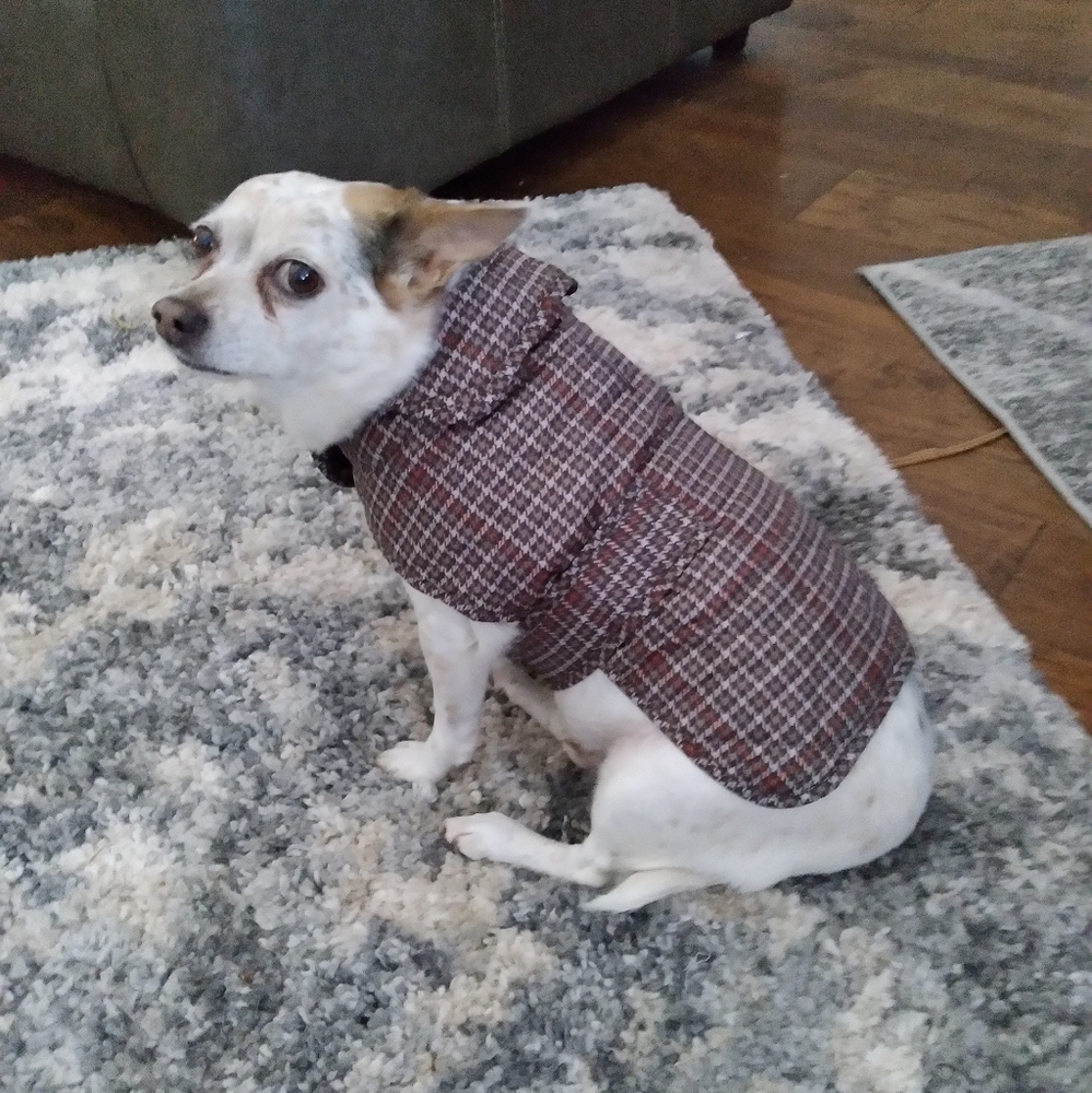St. John's Bark Dog Coat